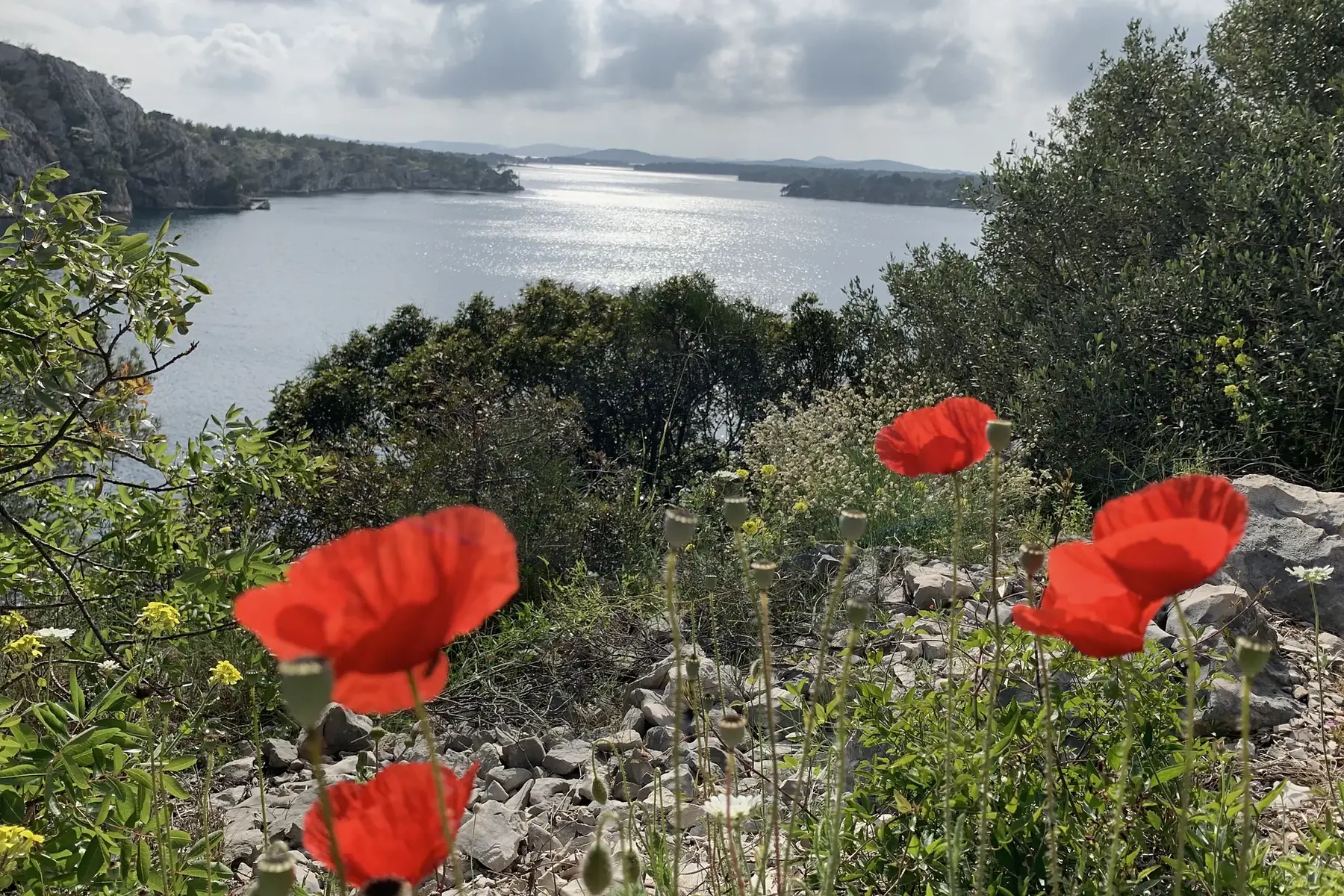 Dialogos Makovi Sibenik